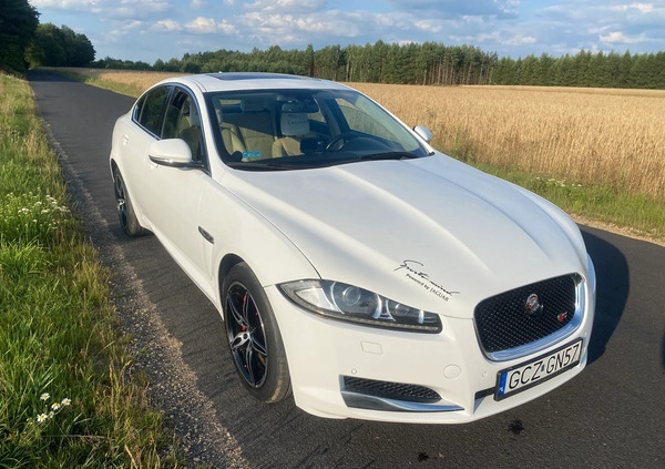 Jaguar XF cena 61500 przebieg: 62000, rok produkcji 2013 z Radomsko małe 137